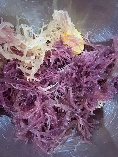Raw Purple Seamoss, Front