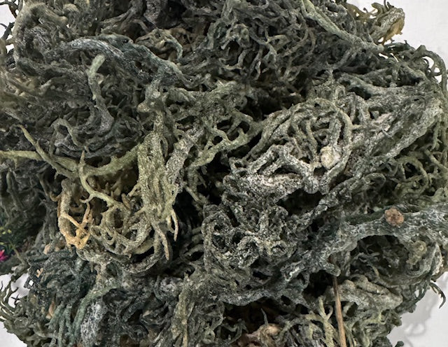 Raw Green Seamoss, Front