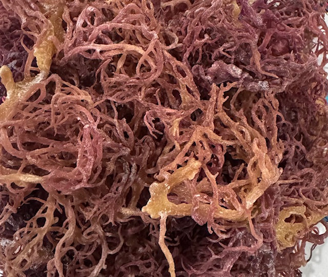 Raw Purple Seamoss, Front