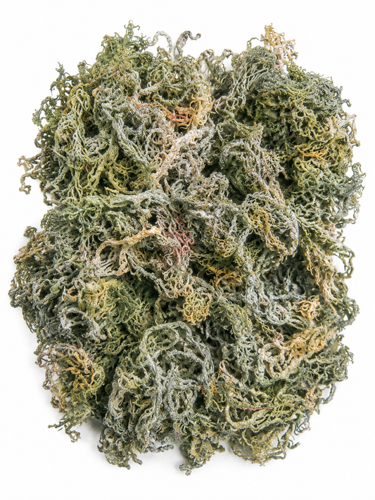Raw Green Wildcrafted Sea Moss