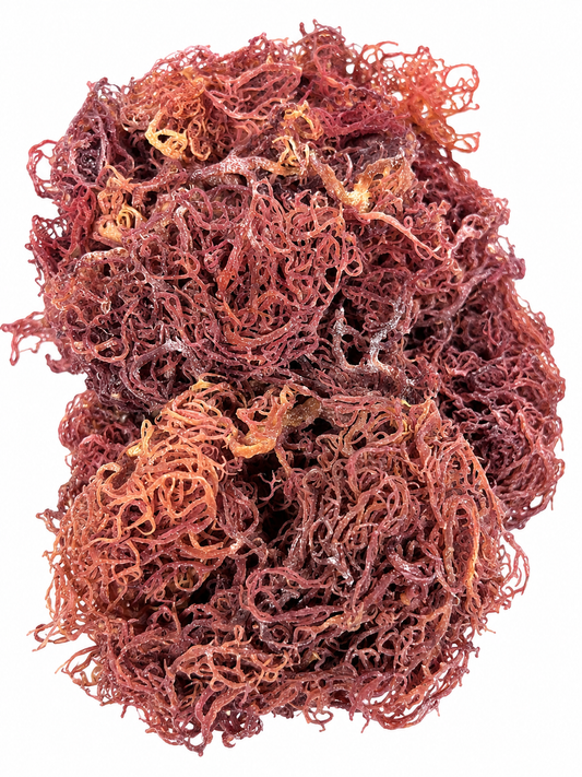 Raw Purple Wildcrafted Sea Moss (Dried Whole)
