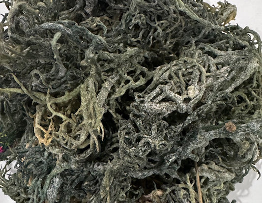 Raw Green Seamoss, Front