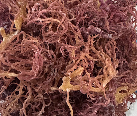 Raw Purple Seamoss, Front